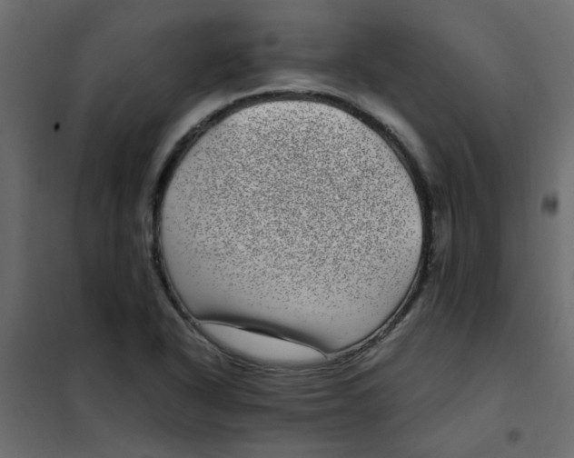 X0000101991318200808081625