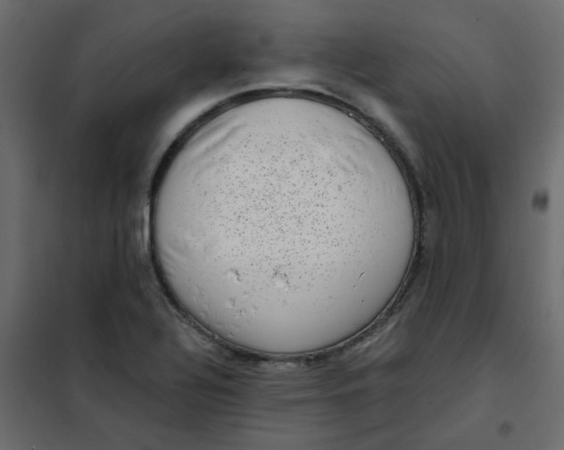 X0000101991320200808081625