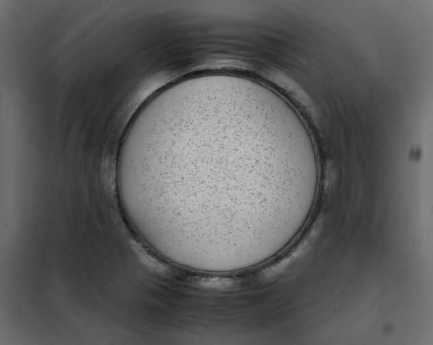 X0000101991321200808081625