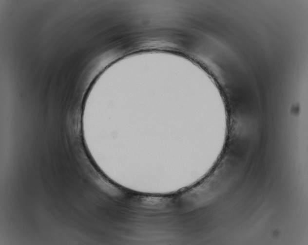 X0000101991322200808081625