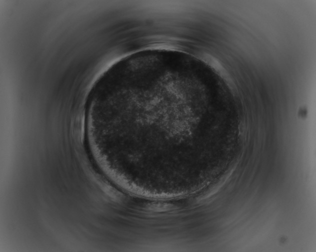 X0000101991323200808081625