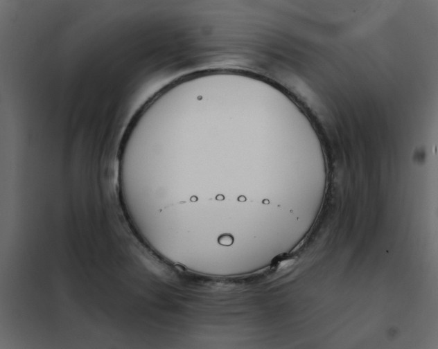 X0000101991324200808081625