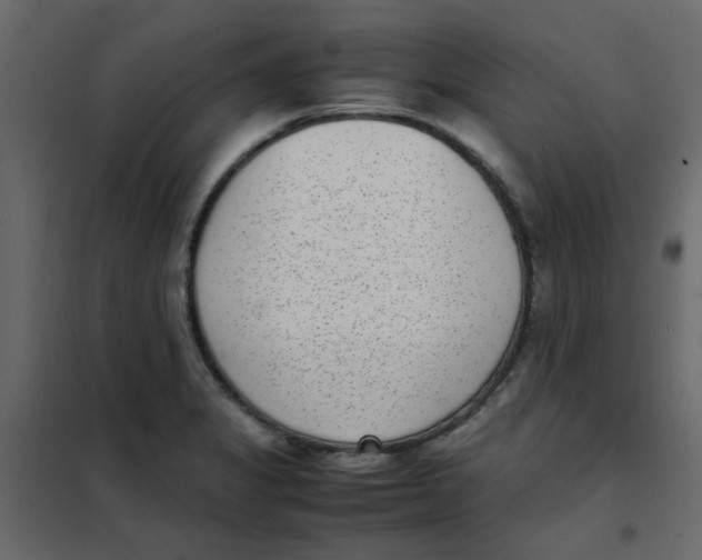 X0000101991325200808081625