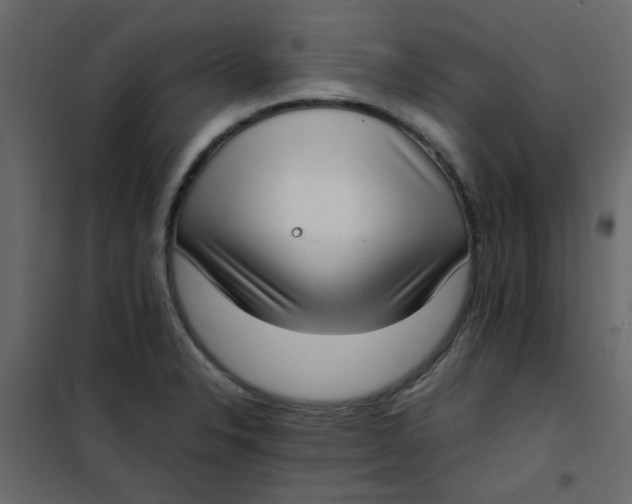 X0000101991326200808081625