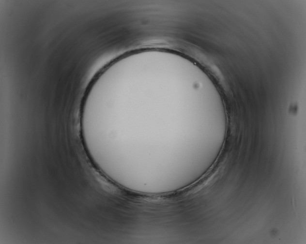 X0000101991328200808081625