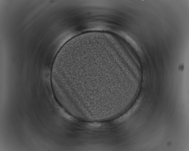 X0000101991329200808081625