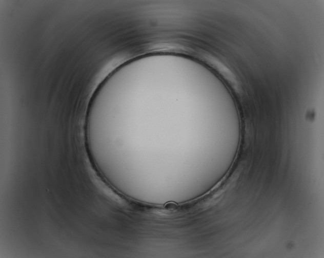 X0000101991330200808081625