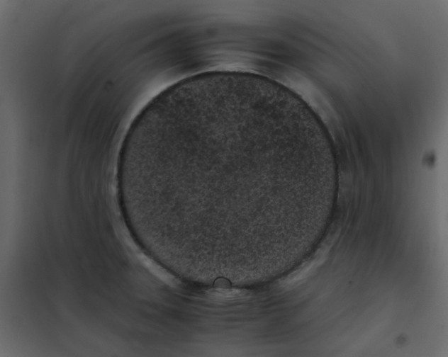 X0000101991331200808081625