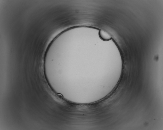 X0000101991332200808081625