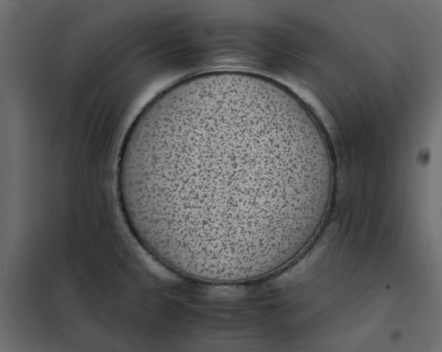 X0000101991333200808081625