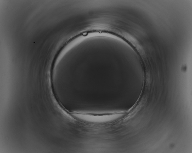 X0000101991334200808081625