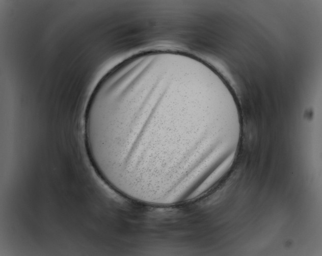 X0000101991335200808081625