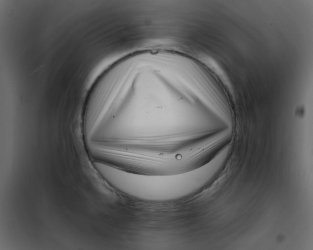 X0000101991336200808081625