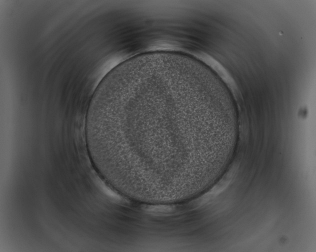 X0000101991337200808081625