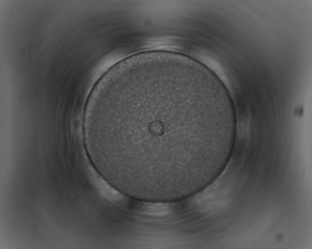 X0000101991338200808081625