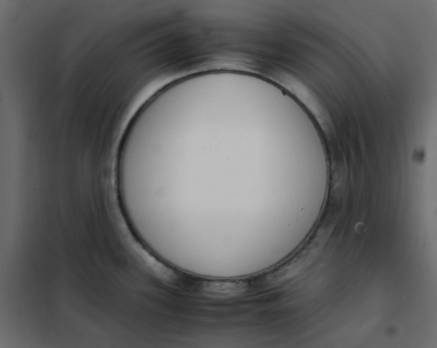 X0000101991339200808081625