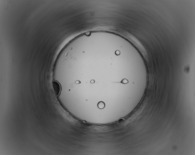 X0000101991340200808081625