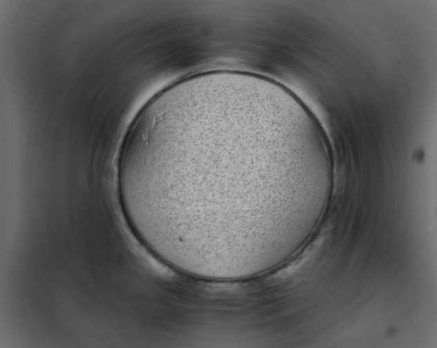 X0000101991341200808081625