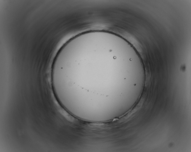 X0000101991342200808081625