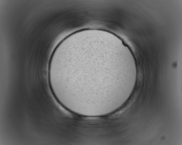 X0000101991343200808081625