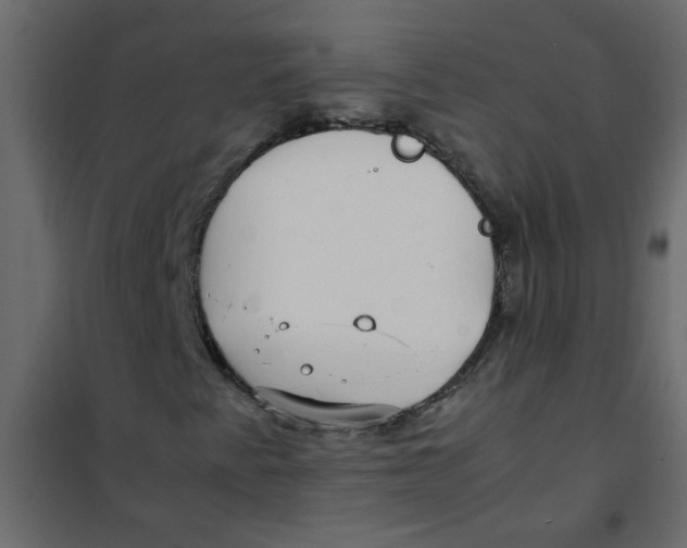 X0000101991345200808081624