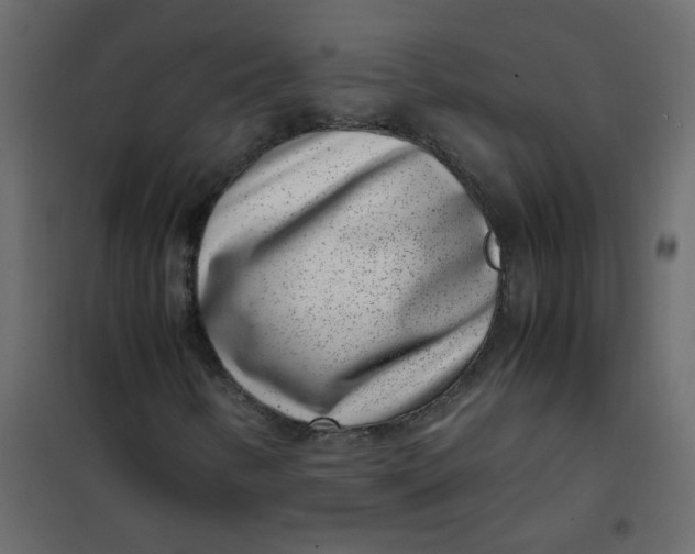 X0000101991346200808081624