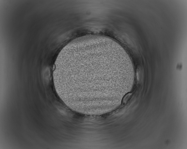 X0000101991347200808081624