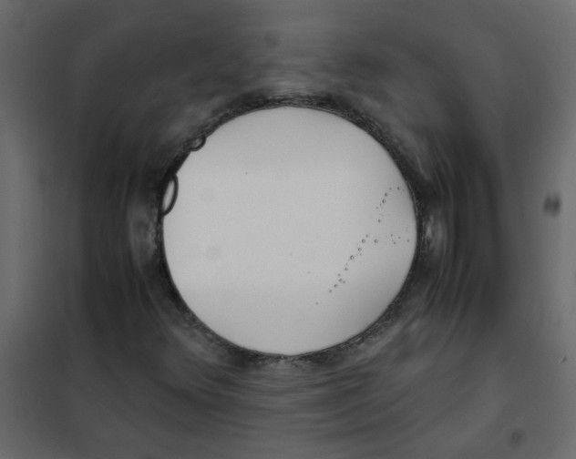 X0000101991348200808081624