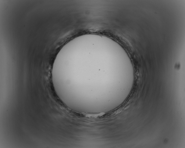 X0000101991349200808081624