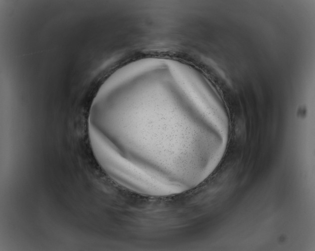 X0000101991350200808081624