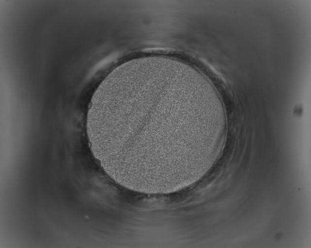 X0000101991351200808081624