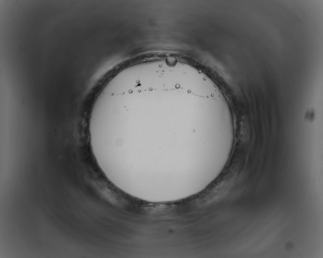 X0000101991352200808081624