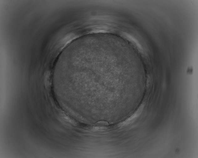 X0000101991353200808081624