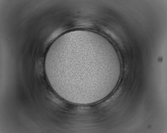 X0000101991354200808081624