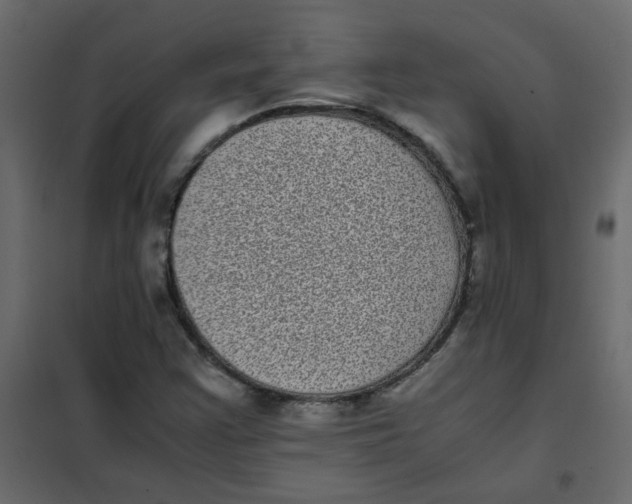 X0000101991355200808081624