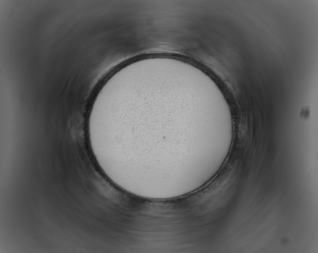 X0000101991356200808081624