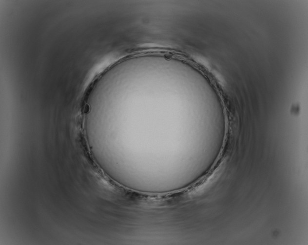 X0000101991357200808081624