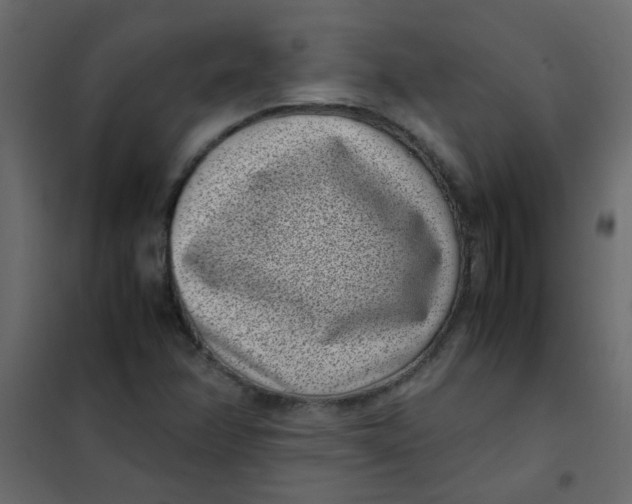 X0000101991358200808081624