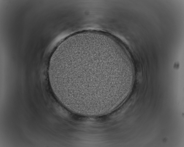 X0000101991359200808081624