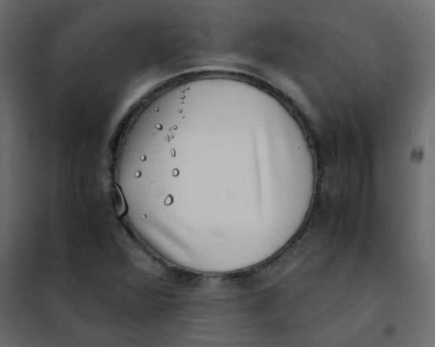 X0000101991360200808081624