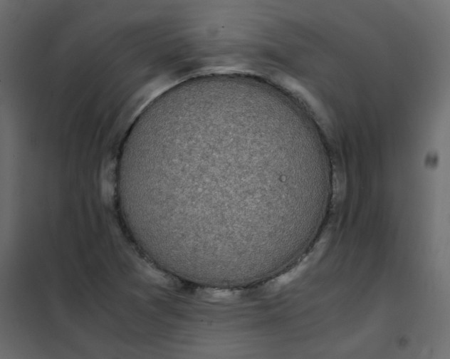 X0000101991361200808081624