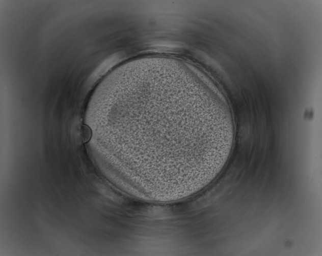 X0000101991362200808081624