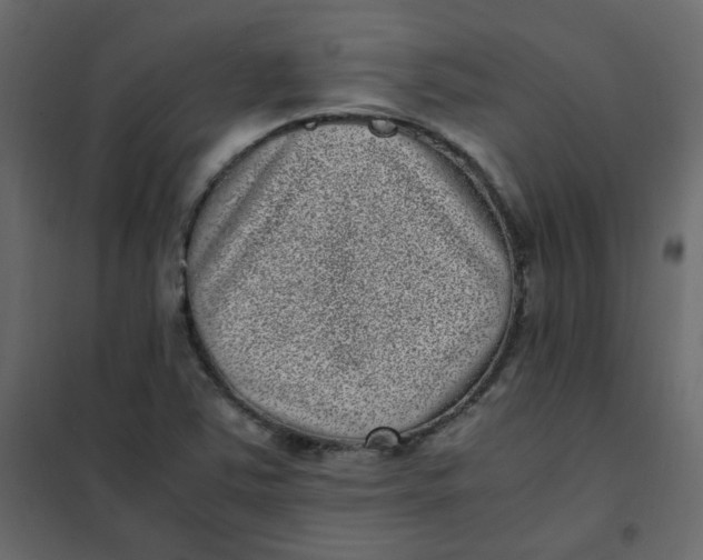 X0000101991363200808081624