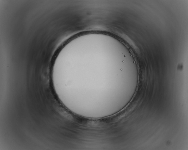 X0000101991364200808081624