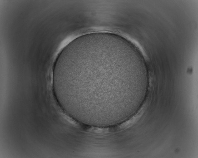 X0000101991365200808081624