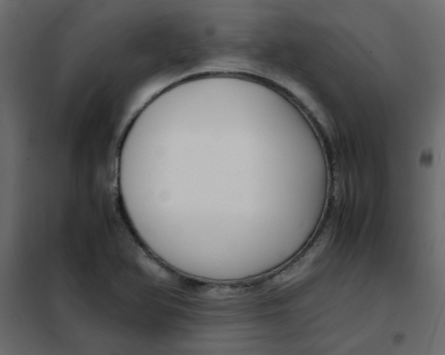 X0000101991366200808081624