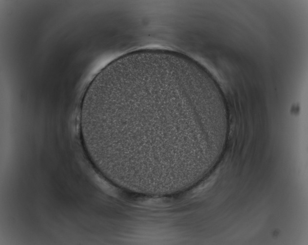 X0000101991367200808081624