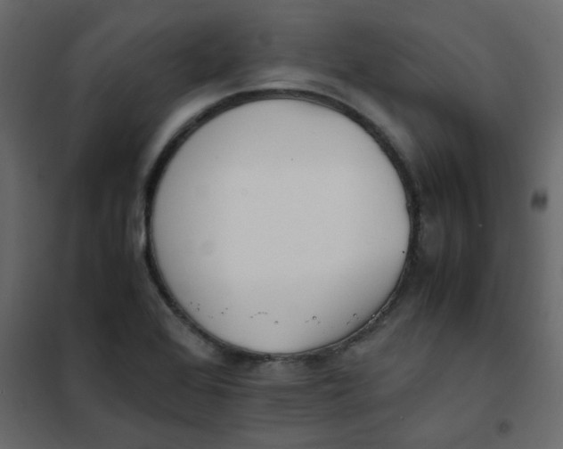 X0000101991368200808081624