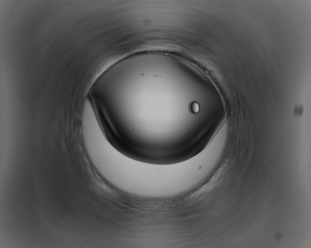 X0000101991369200808081624