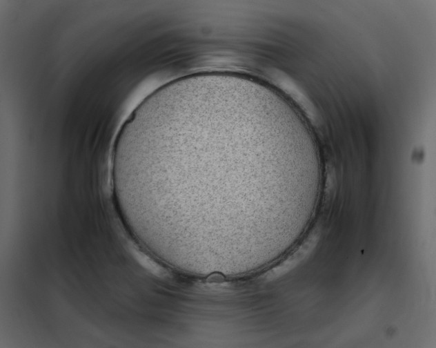 X0000101991370200808081624